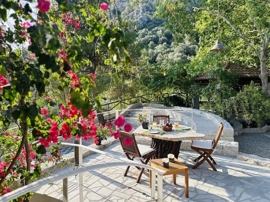 Elia Junior Suite In Epidavros With Shared Pool Néa Epídavros Zewnętrze zdjęcie
